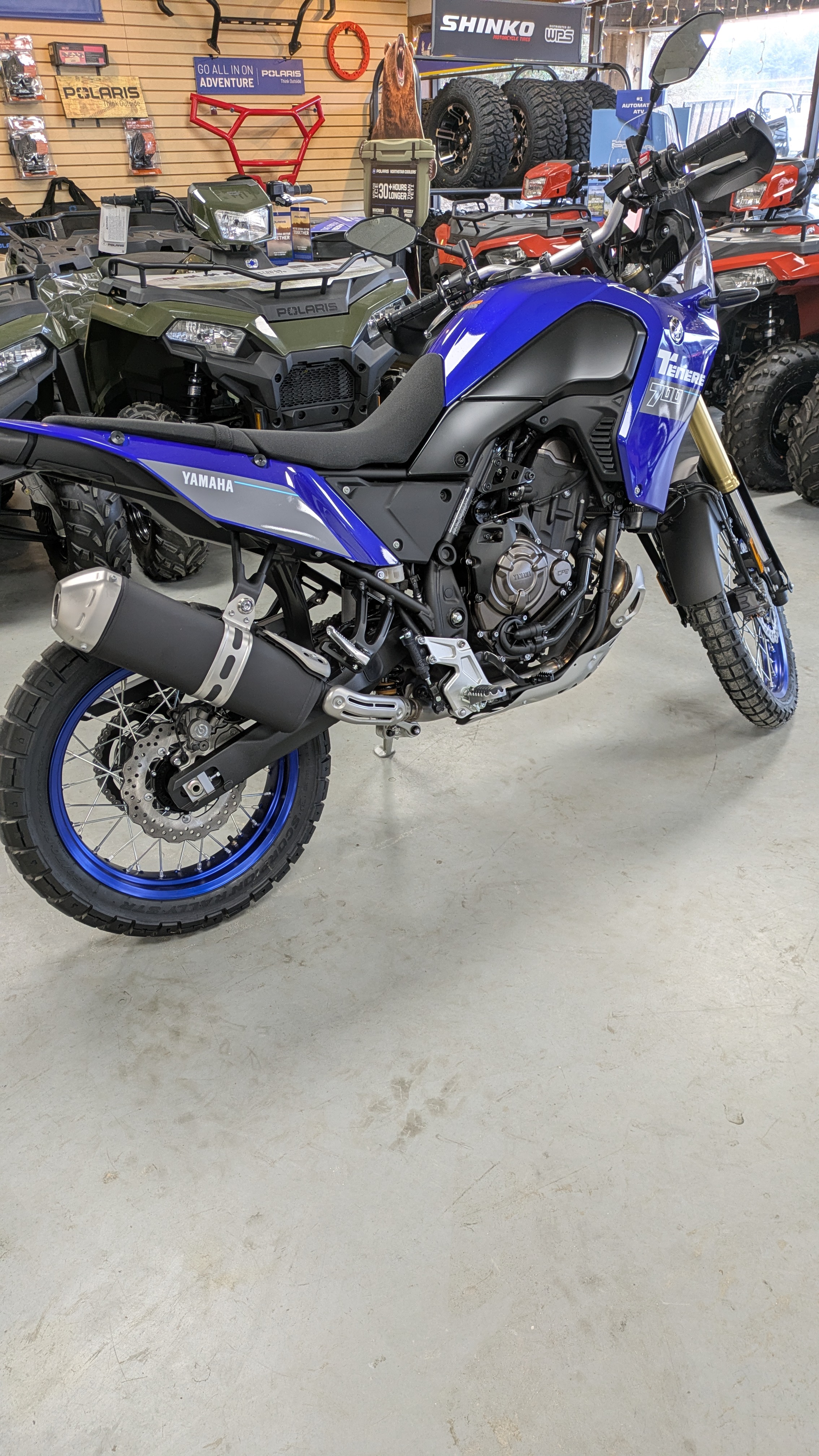 PXL_20250205_214836145